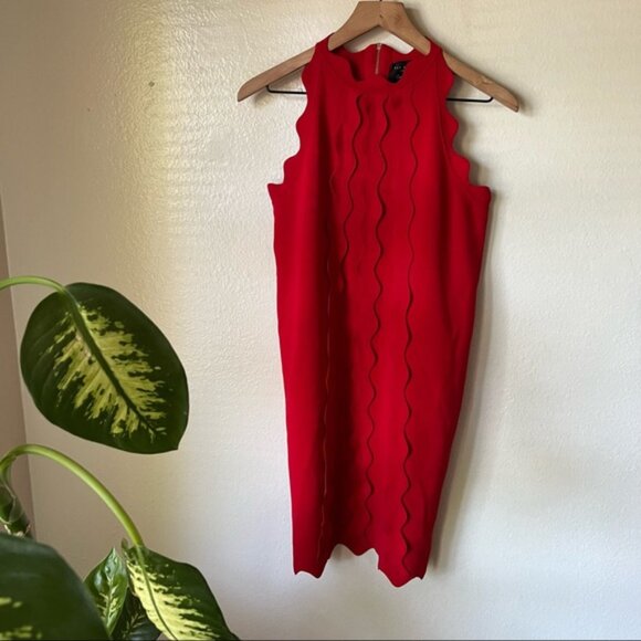 Ted Baker | Rianori Scalloped Trim Shift Dress - Picture 2 of 8